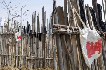 SEGD Spotted in the Congo